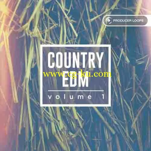 Producer Loops Country EDM Vol 1 MULTiFORMAT-DISCOVER的图片1