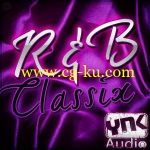 YnK Audio RnB Classix ACiD WAV AiFF Apple Loops REX的图片1