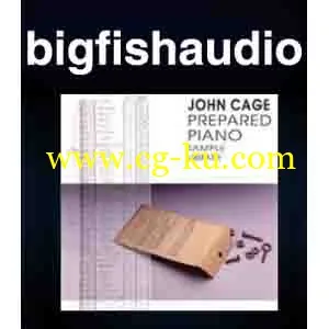 Big Fish Audio John Cage Prepared Piano MULTIFORMAT的图片1