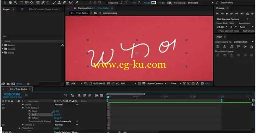 SKillshare - The Write OnHand Lettering In Motion的图片1