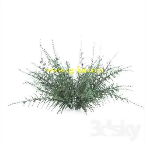 3dsk植物模型一个的图片1