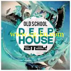 Zmey Deep House Old School [WAV MiDi]的图片1