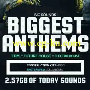 Big Sounds Biggest Anthems WAV的图片1