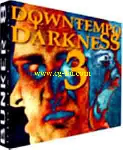 Bunker 8 Digital Labs Downtempo Darkness 3 MULTiFORMAT – DYNAMiCS的图片1