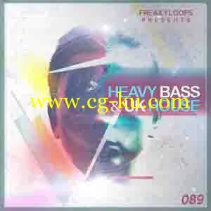 Freaky Loops Heavy Bass and UK House的图片1