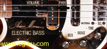 Adam Monroe Music Electric Bass v1.2 WIN OSX-DECiBEL的图片1