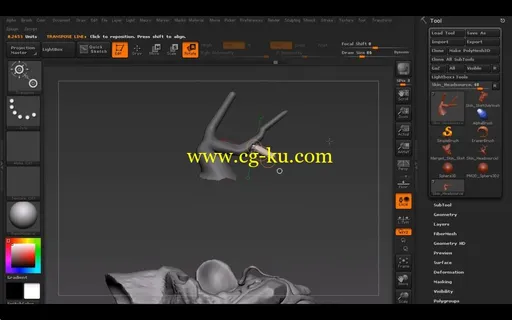 Creating a Detailed Forest Creature in ZBrush的图片2