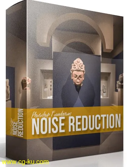 Photoshop Foundations – Noise Reduction的图片1