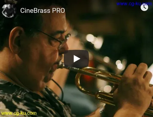 Cinesamples CineBrass PRO 1.7a KONTAKT的图片1