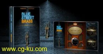 Indiginus Blue Street Brass KONTAKT的图片1