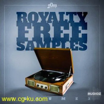 2DEEP Royalty Free Samples Vol.3 WAV的图片1