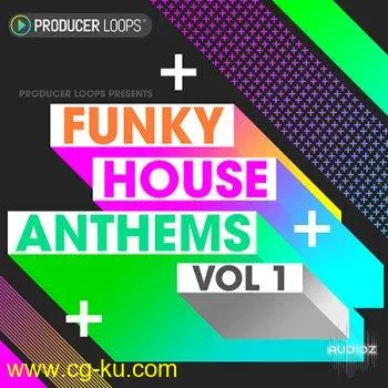 Producer Loops Funky House Anthems Vol 1 ACiD WAV MiDi REX的图片1