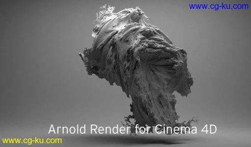 Solid Angle Cinema 4D To Arnold v2.5.0 for Cinema 4D R18-R20 Win/Mac的图片1