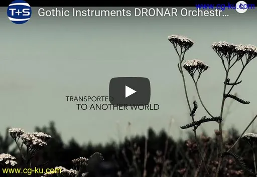 Gothic Instruments DRONAR Orchestral Woodwinds KONTAKT的图片1