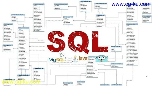 Mastering SQL (Using MySQL, Java, and Go)的图片1