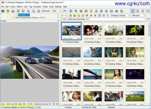 FastStone Image Viewer 7.4 Corporate Multilingual的图片1