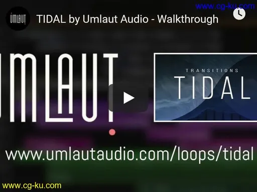 Umlaut Audio Tidal WAV的图片1