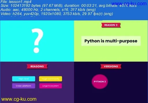 Python Programming for Developers的图片2