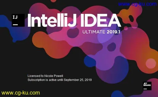 JetBrains IntelliJ IDEA Ultimate 2019.3.4的图片1