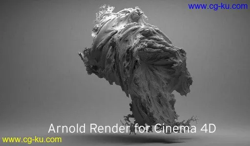 Solid Angle Cinema4D To Arnold 2.5.0.1 for Cinema4D的图片1