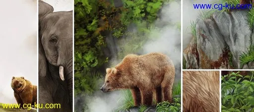 Digital Painting  Paint a Bear in Photoshop的图片1