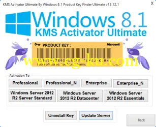 Windows 8.1 KMS Activator Ultimate v1.5.1的图片1