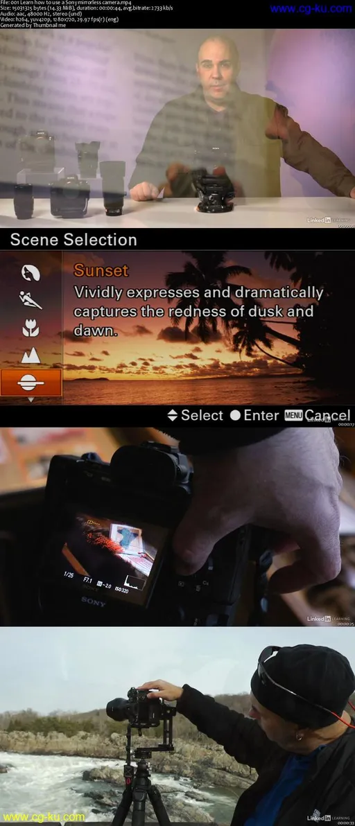 Learning Your Sony DSLR Camera的图片1