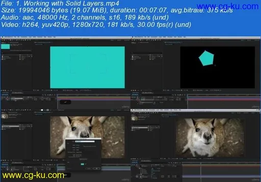 After Effects CC Masterclass: Beginner to Advanced的图片2