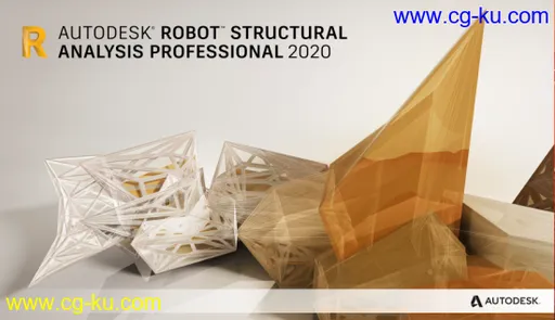 Autodesk Robot Structural Analysis Professional 2020 x64 Multilanguage的图片2