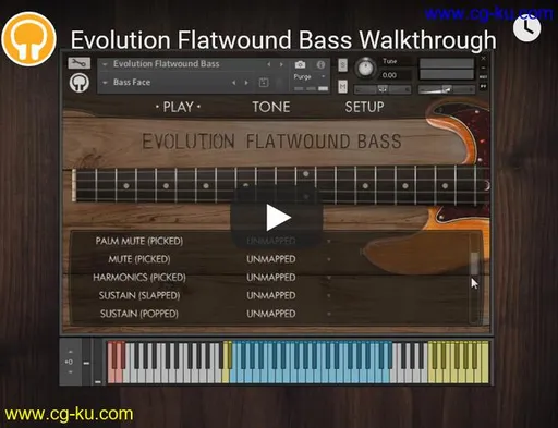 Orange Tree Samples Evolution Flatwound Bass的图片1