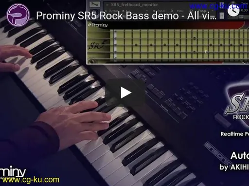 Prominy SR5 Rock Bass v1.12b KONTAKT的图片1