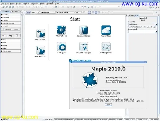 Maplesoft Maple 2019.0 Linux的图片2