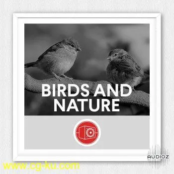 Big Room Sound Birds and Nature WAV的图片1