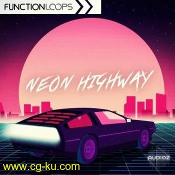 Function Loops Neon Highway MULTiFORMAT-DECiBEL的图片1