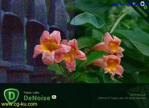 Topaz DeNoise AI 1.3.3的图片1