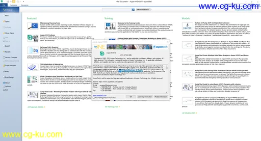 AspenTech aspenONE Engineering Suite 11.0的图片5