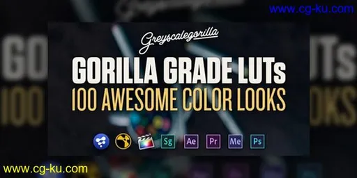 Greyscalegorilla – Gorilla Grade LUT's (Updated)的图片1