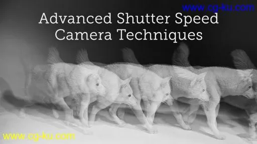 Advanced Shutter Speed Techniques的图片1