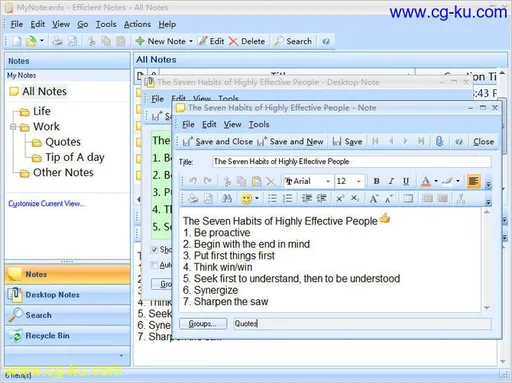 Efficient Notes 5.60 Build 559 Multilingual的图片1