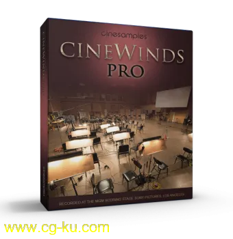 Cinesamples CineWinds PRO v1.3 KONTAKT的图片1