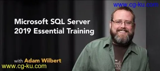 Microsoft SQL Server 2019 Essential Training的图片2