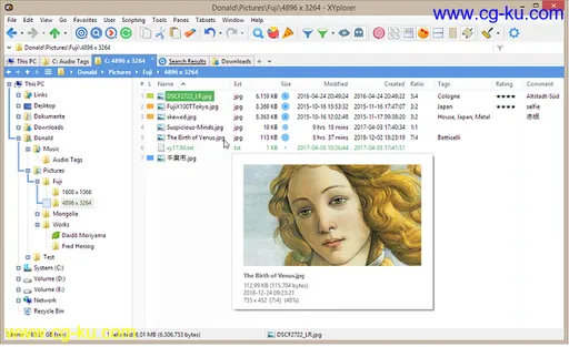 XYplorer 20.90.0900 Multilingual的图片1