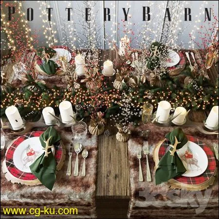 Christmas table setting Pottery Barn的图片1