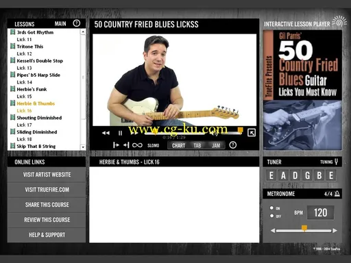 Truefire – Gil Parris’ 50 Country Fried Blues Licks You Must Know (2013)的图片2
