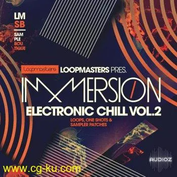 Loopmasters Immersion Electronic Chill 2 WAV REX的图片1