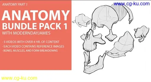 Gumroad – Anatomy Bundle Pack 1的图片1