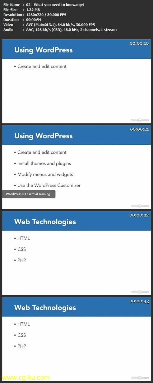 WordPress: Building Child Themes (2019)的图片1