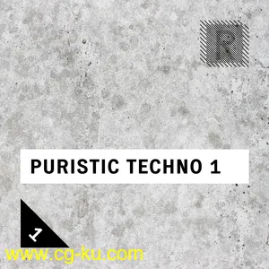 Riemann Kollektion Riemann Puristic Techno 1 WAV的图片1