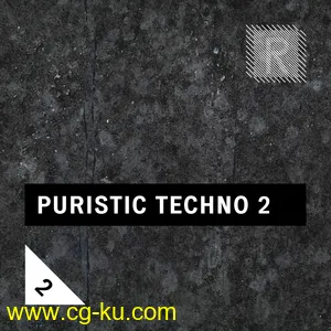 Riemann Kollektion Riemann Puristic Techno 2 WAV的图片1