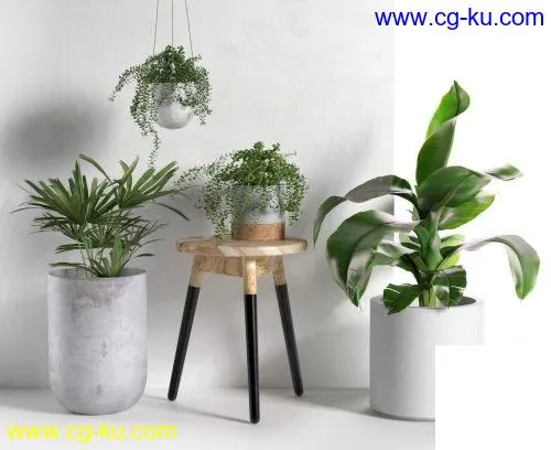 CGTrader – Stool and Pots with Plants 3D model的图片1